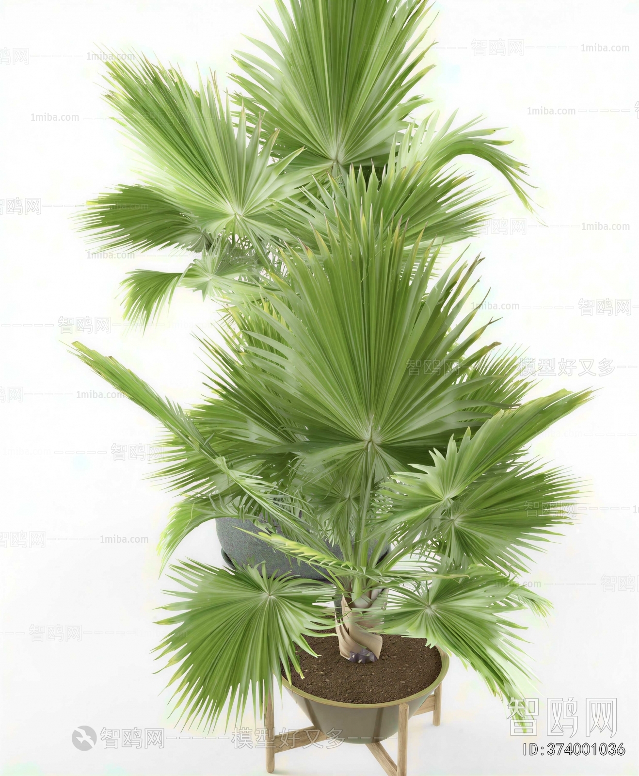 Modern Ground Green Plant Potted Plants