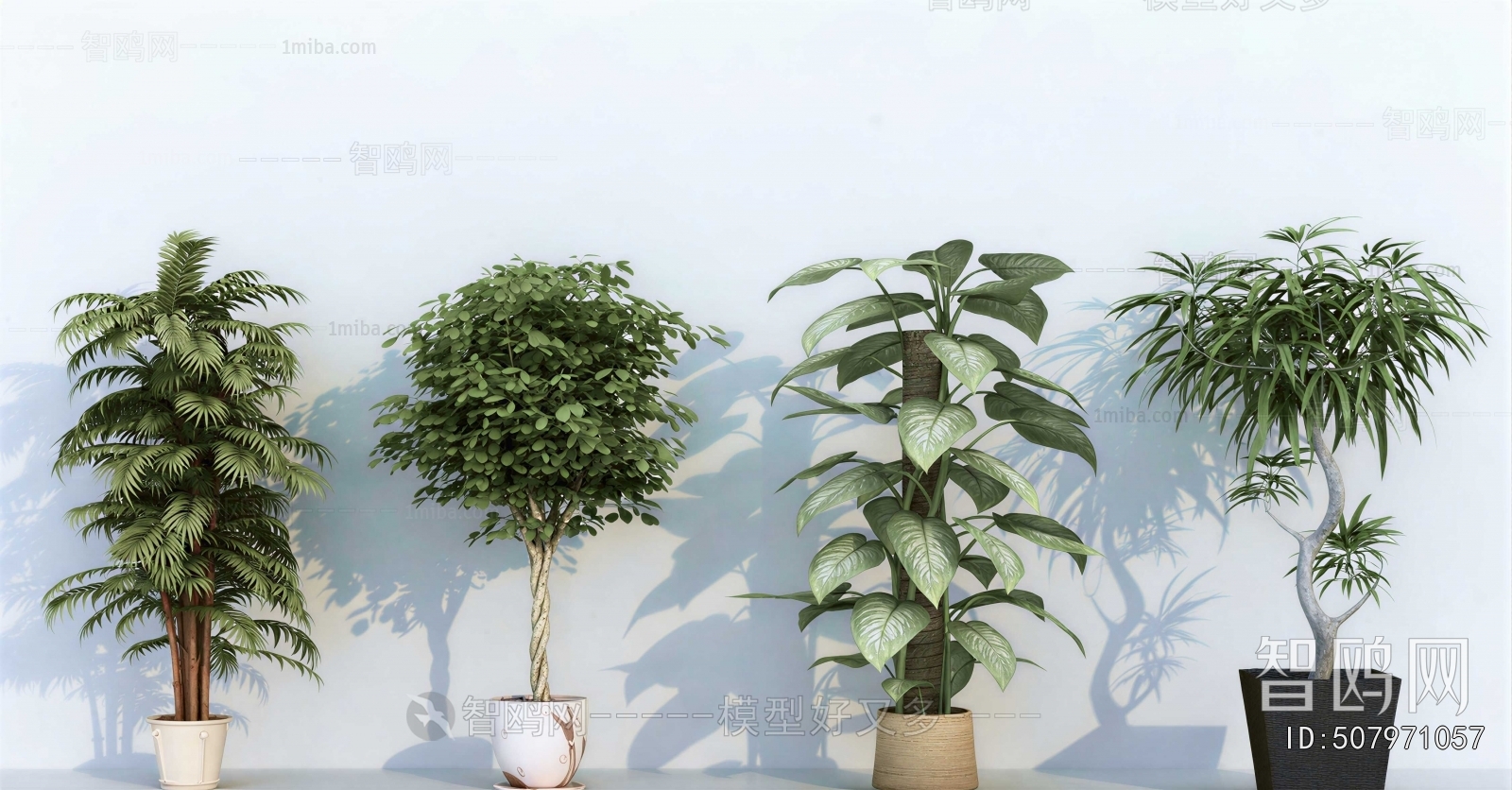 Modern Potted Green Plant