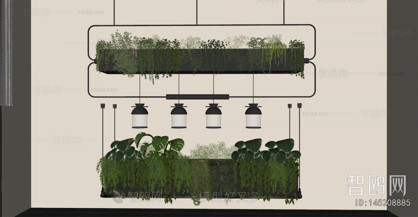 Modern Vine