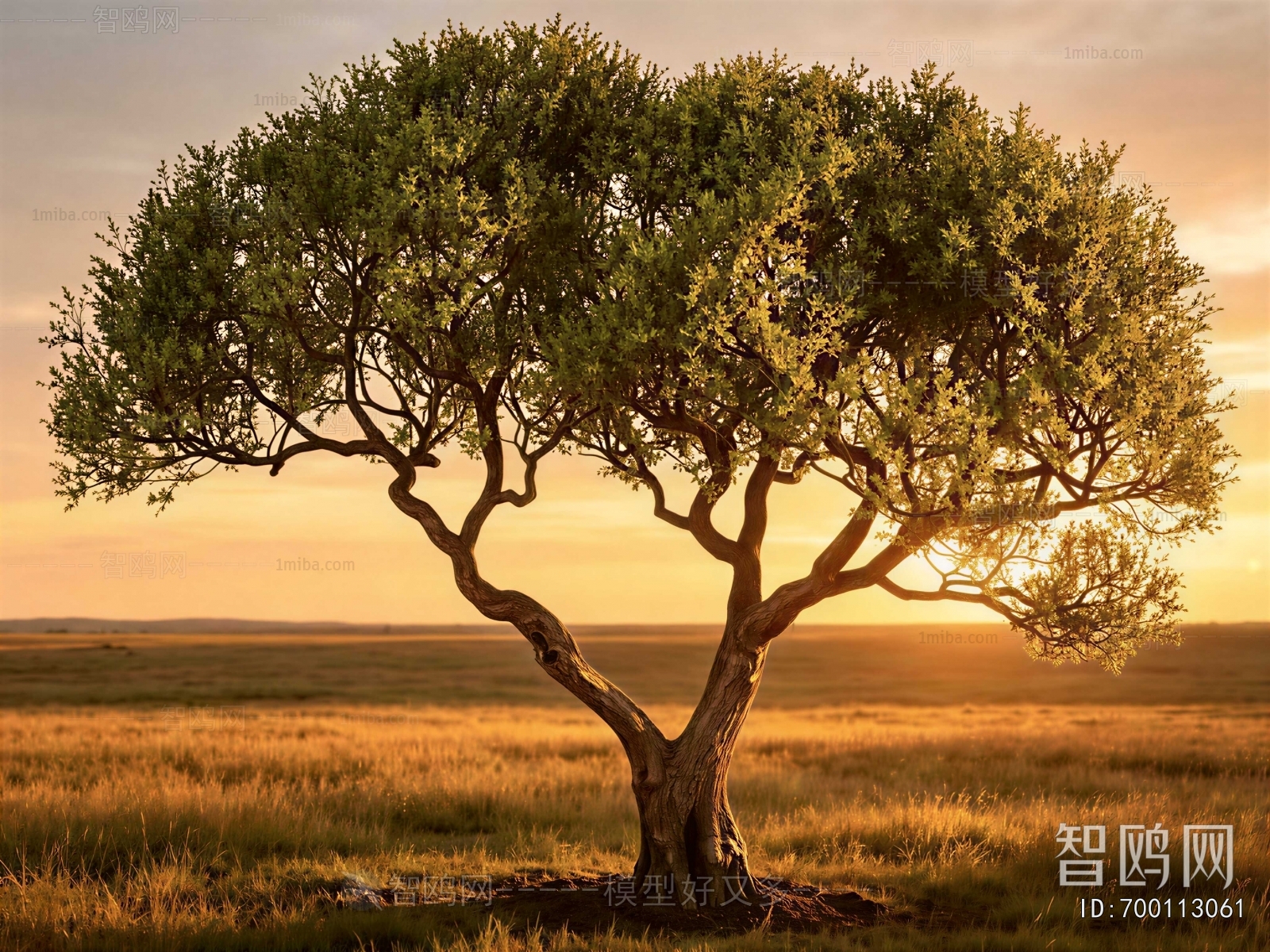 Modern Tree