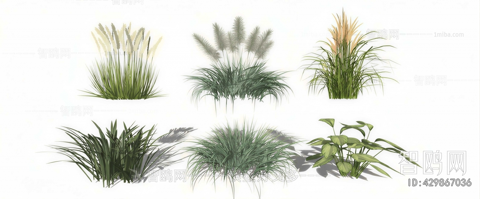 Modern Crop