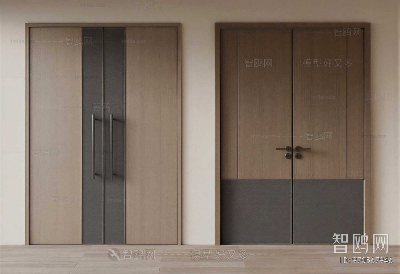 Modern Door