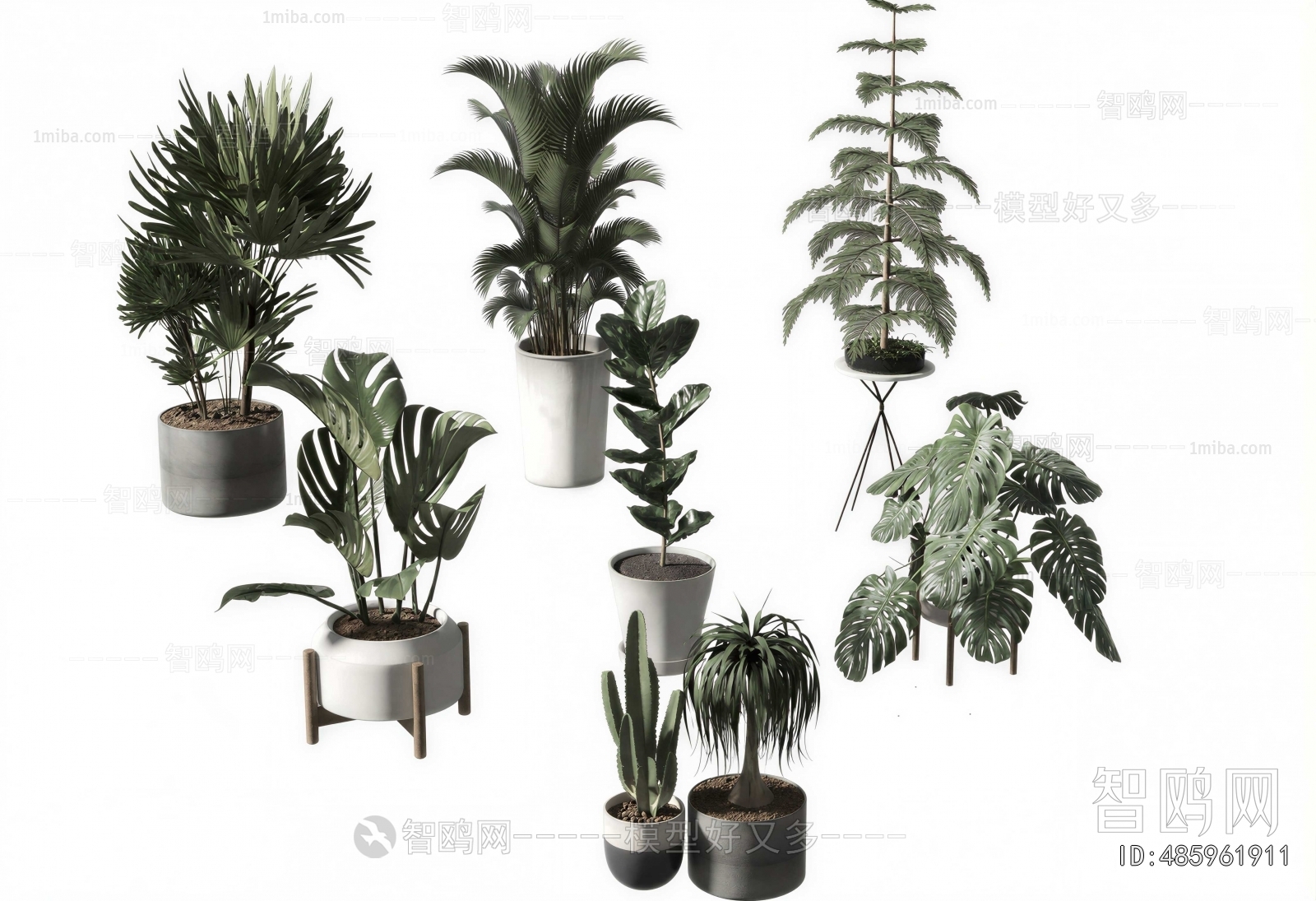 Modern Potted Green Plant