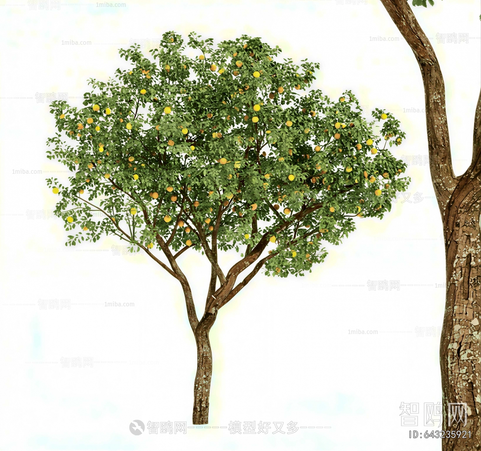 Modern Tree