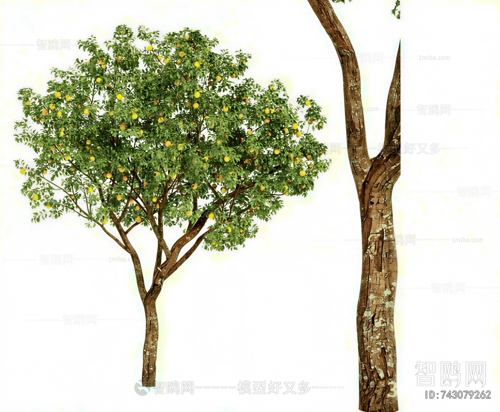 Modern Tree