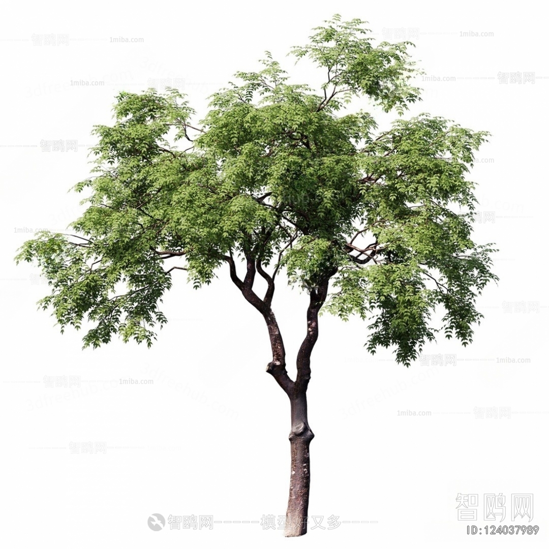 Modern Tree