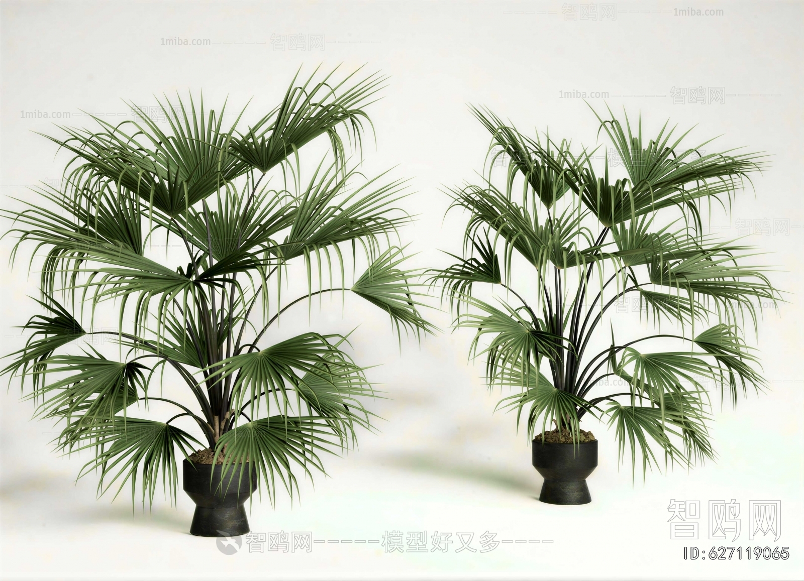 Modern Potted Green Plant