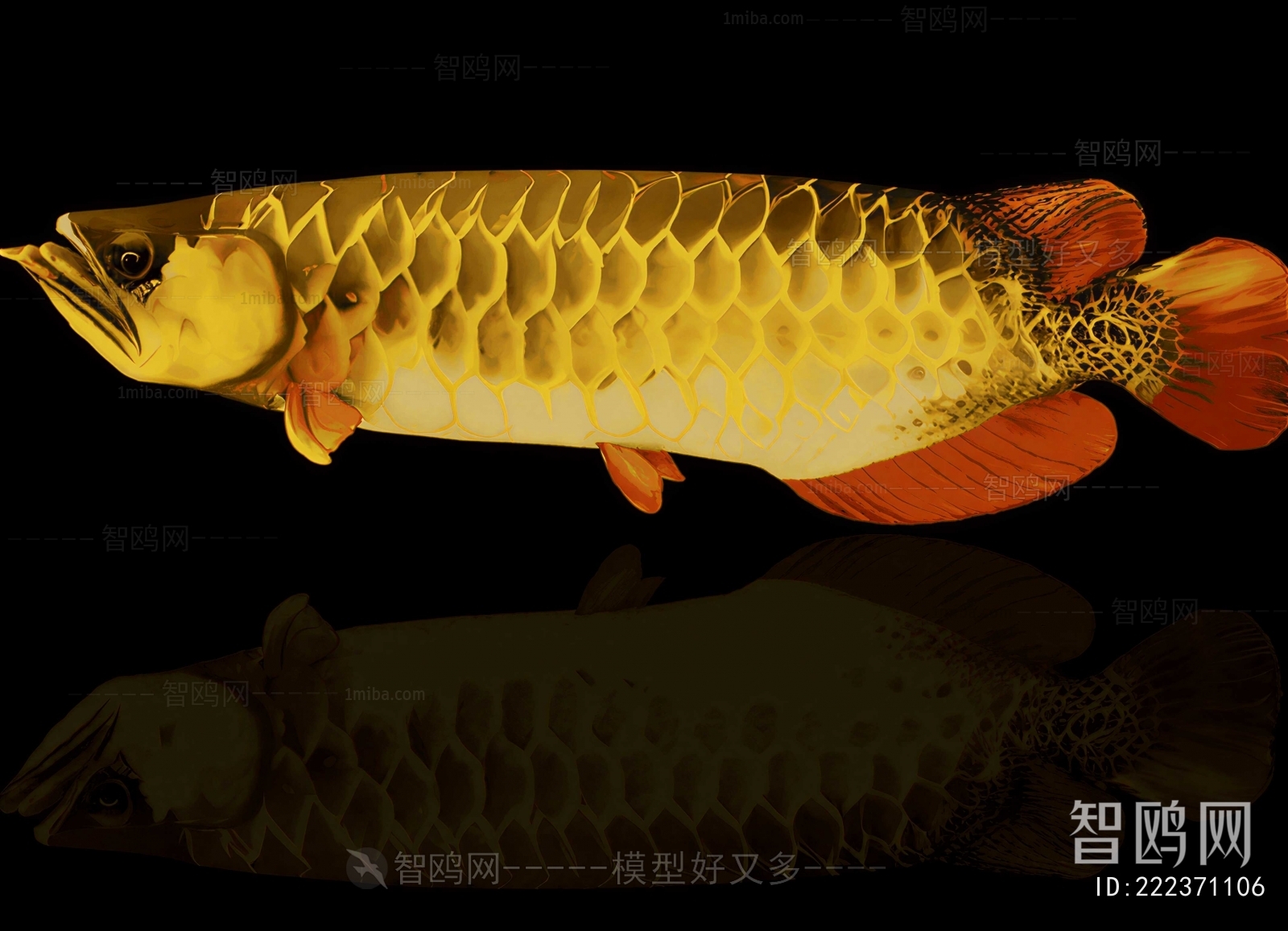 Modern Aquatic Animals