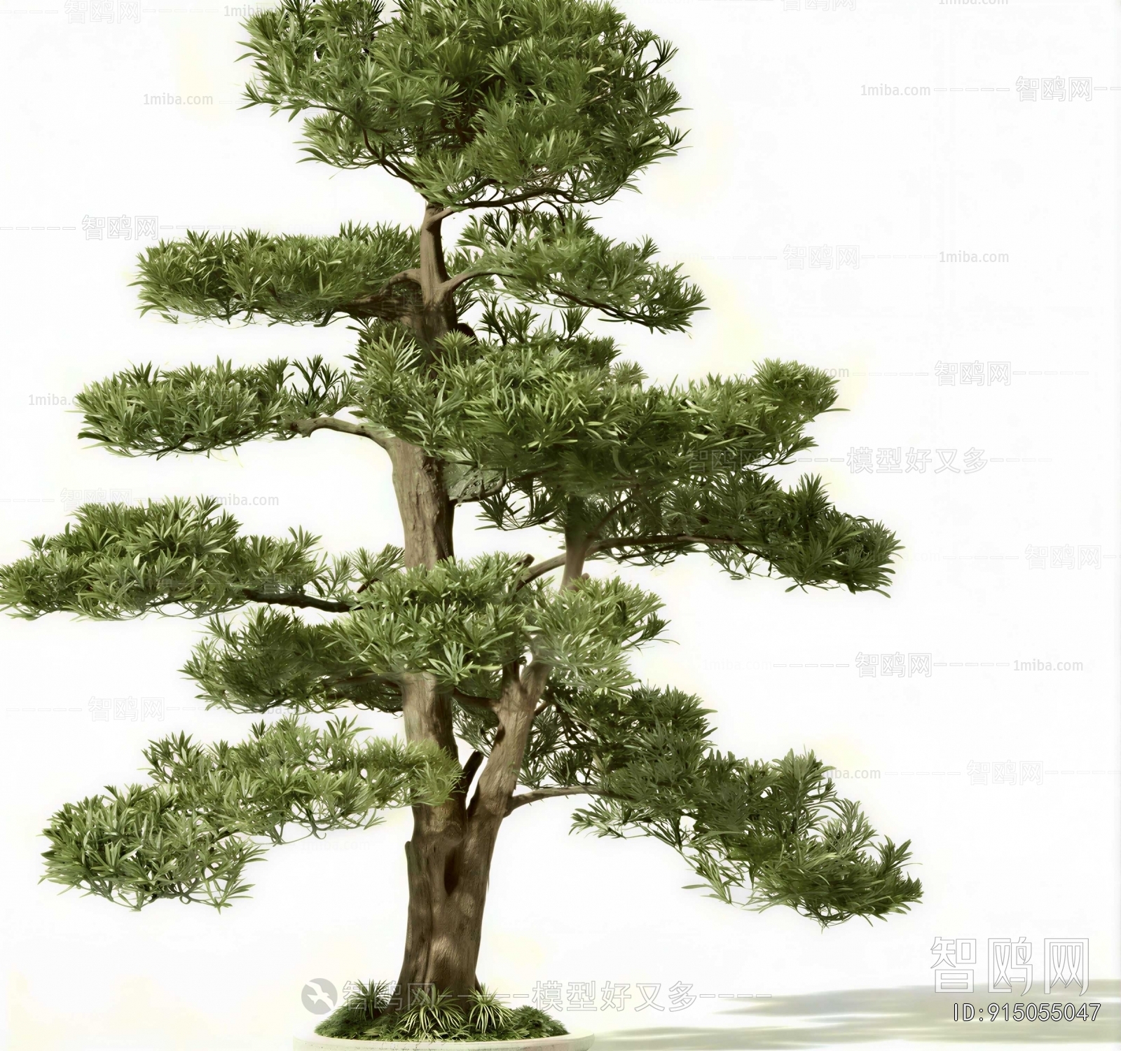 Modern Tree
