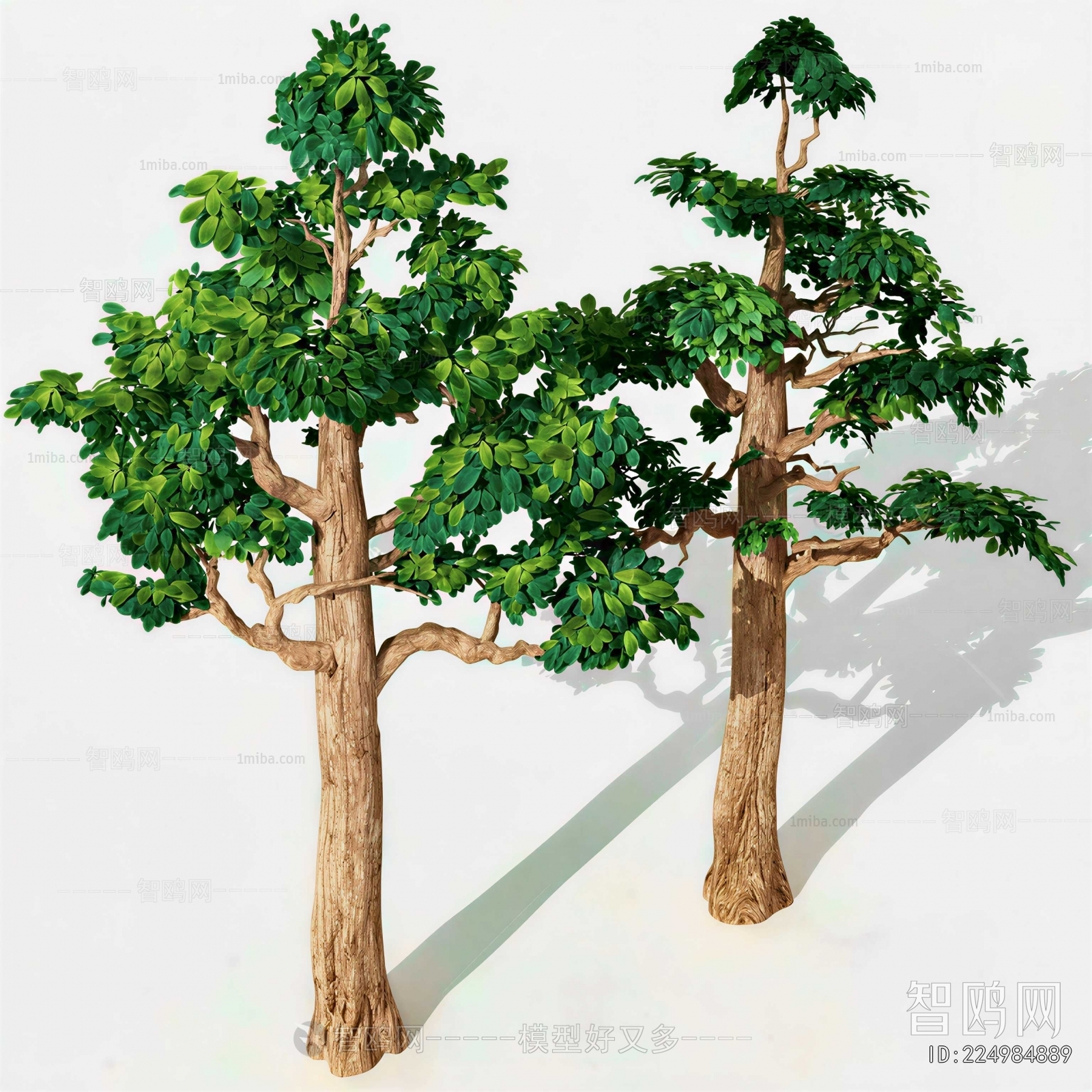 Modern Tree