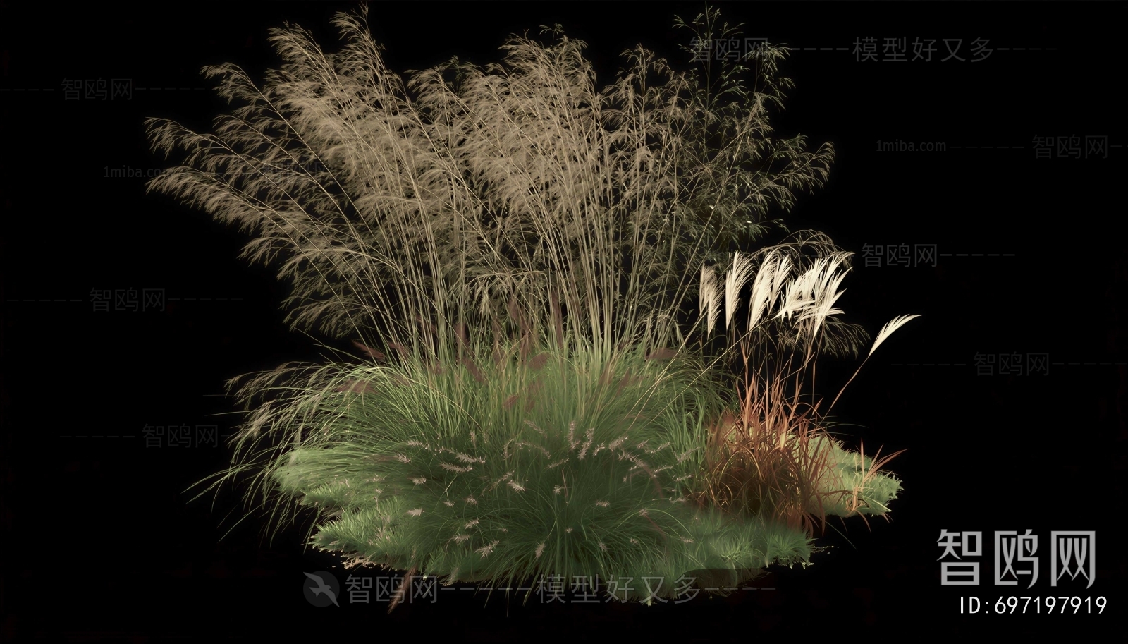 Modern Flowers And Grass