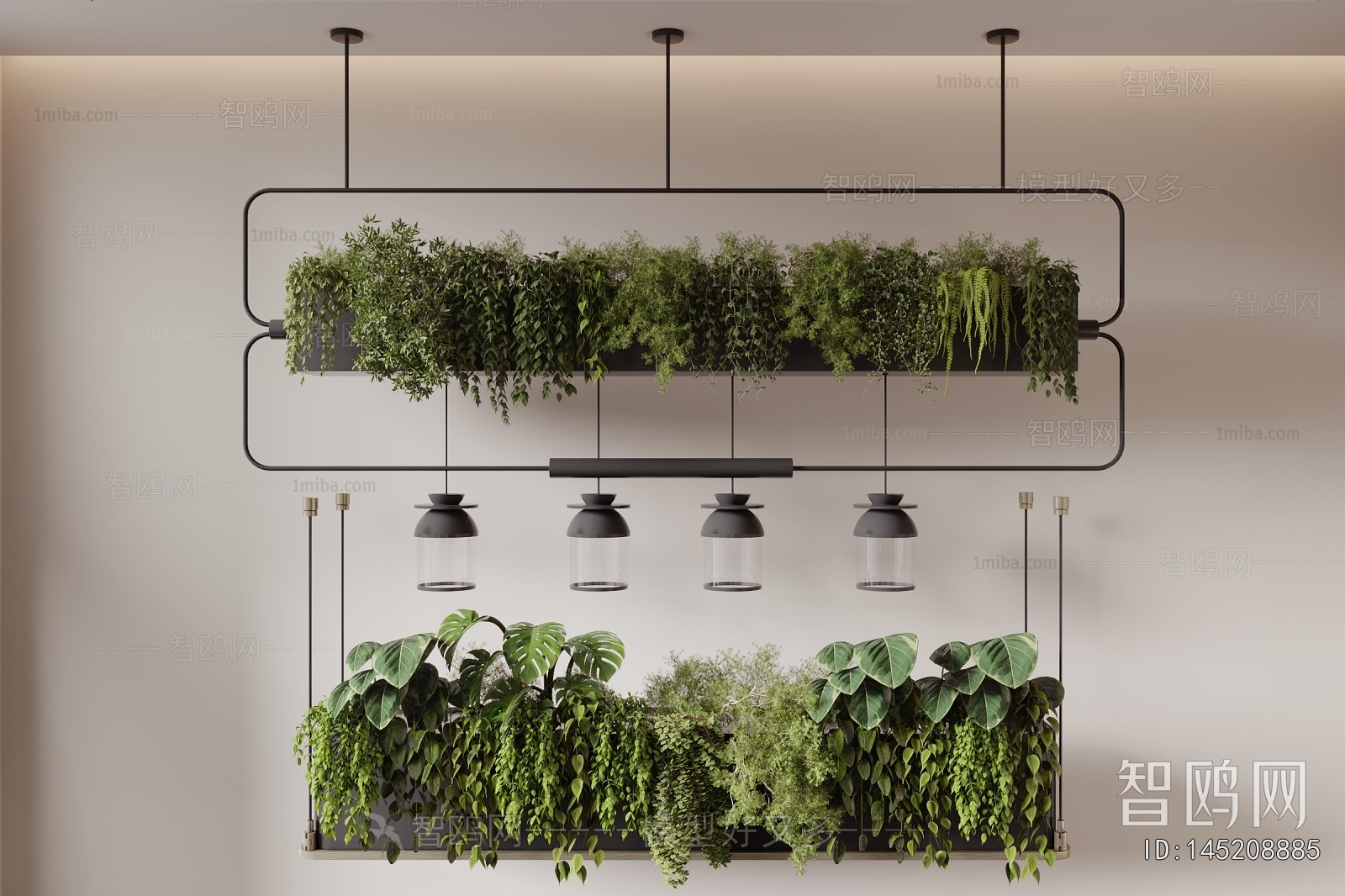 Modern Vine