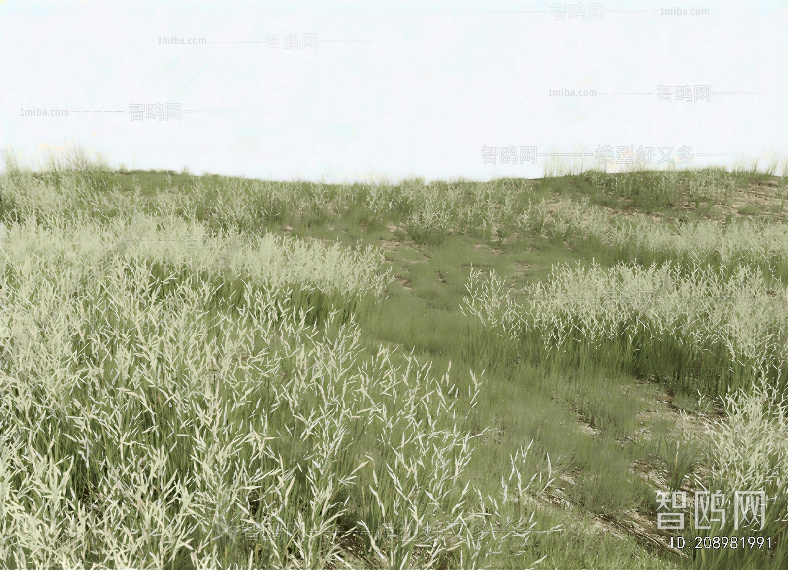 Modern Flowers And Grass