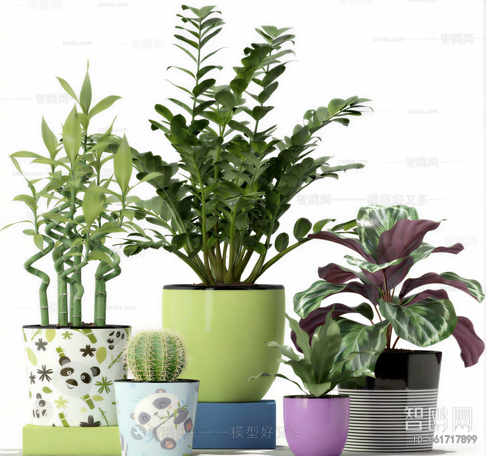 Modern Potted Green Plant