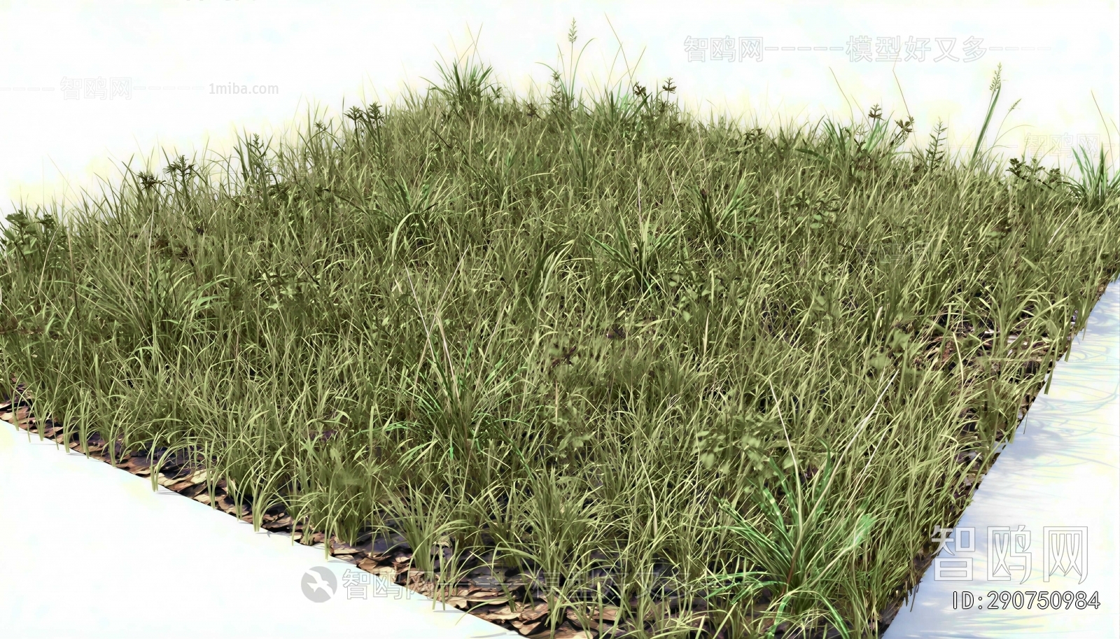 Modern The Grass