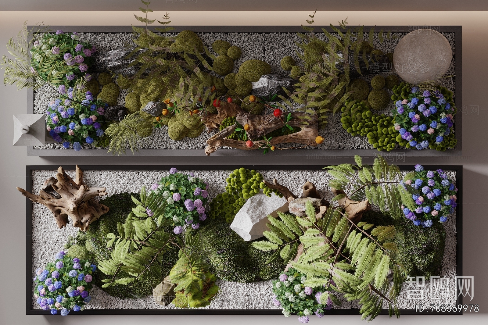 Modern Plant Landscaping