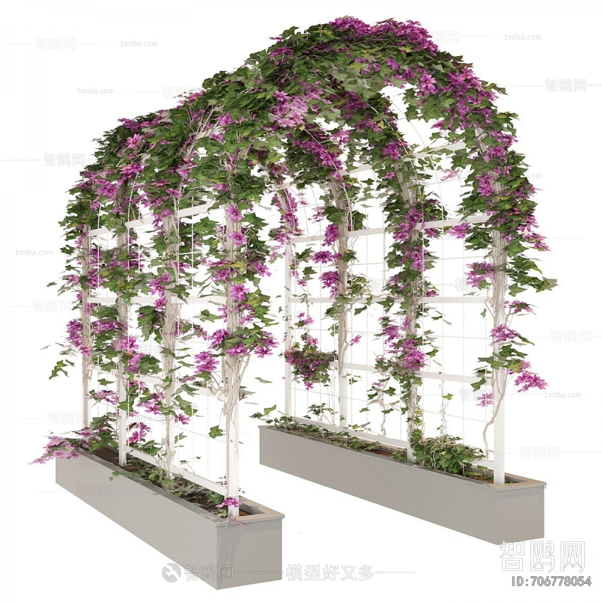 Modern Vine