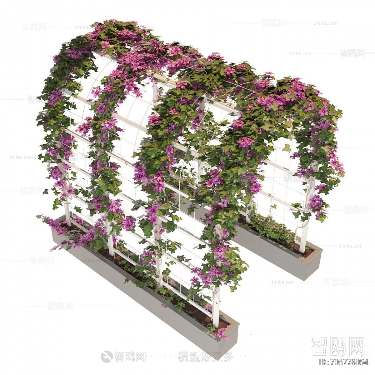 Modern Vine