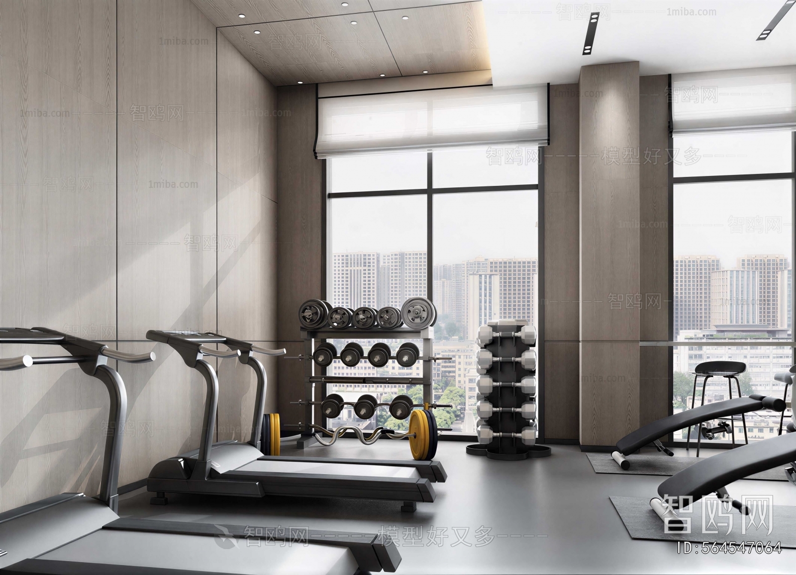 Modern Gym