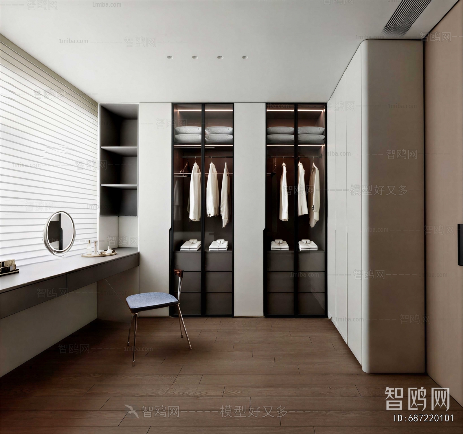 Modern Clothes Storage Area