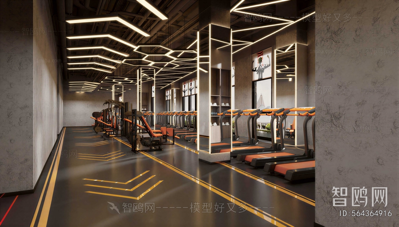 Modern Gym