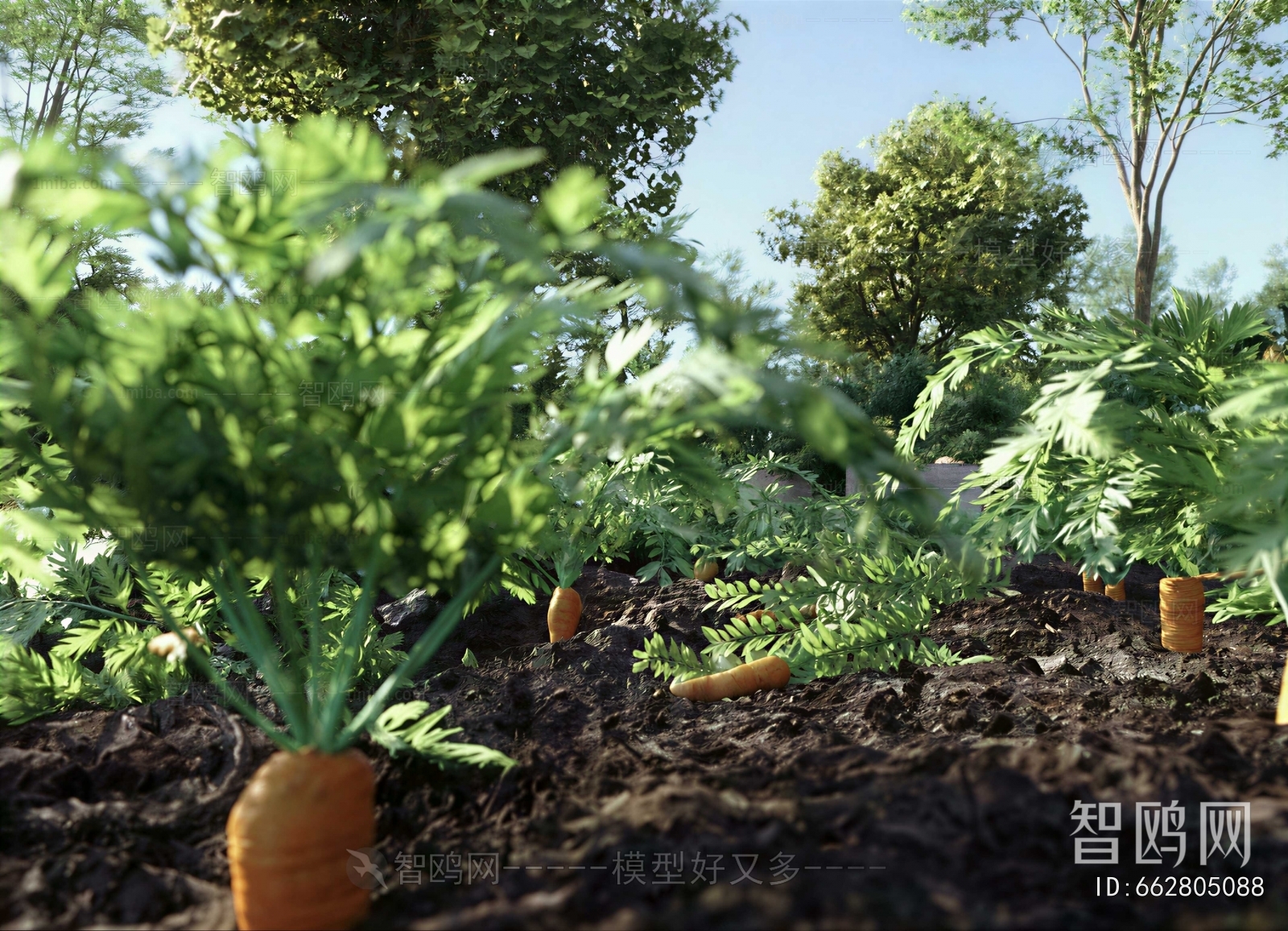 Modern Crop