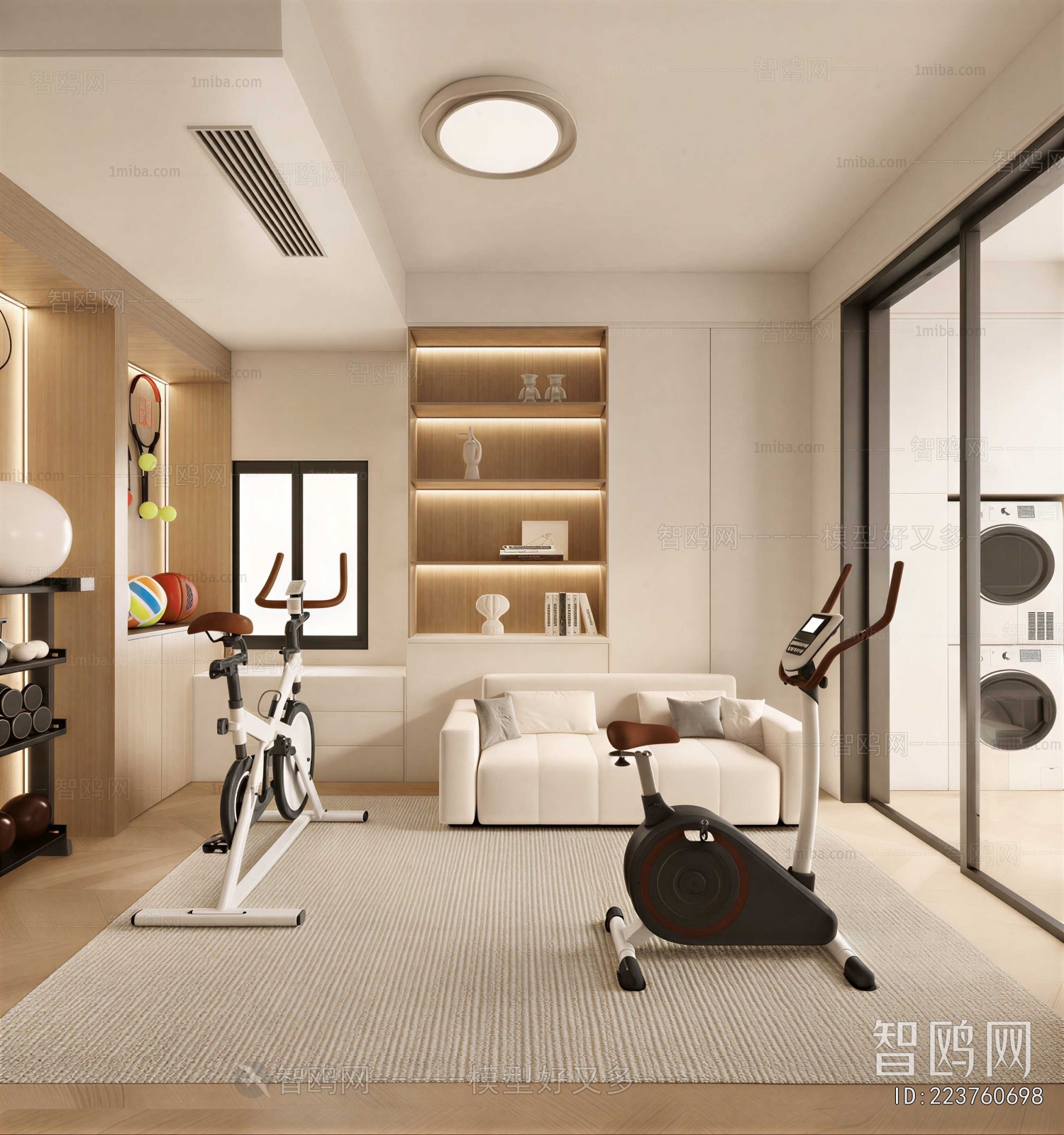 Modern Home Fitness Room
