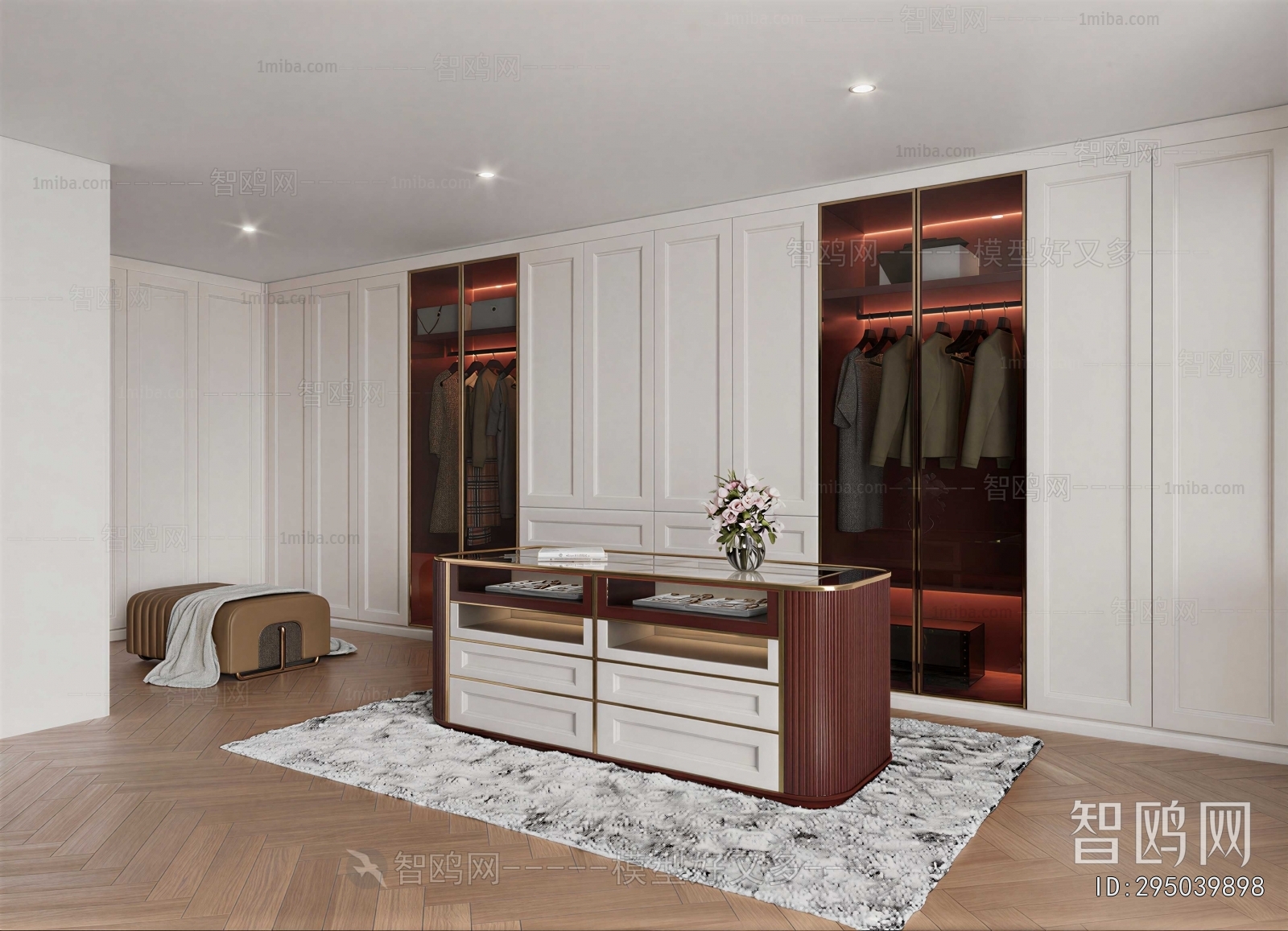 Modern Clothes Storage Area