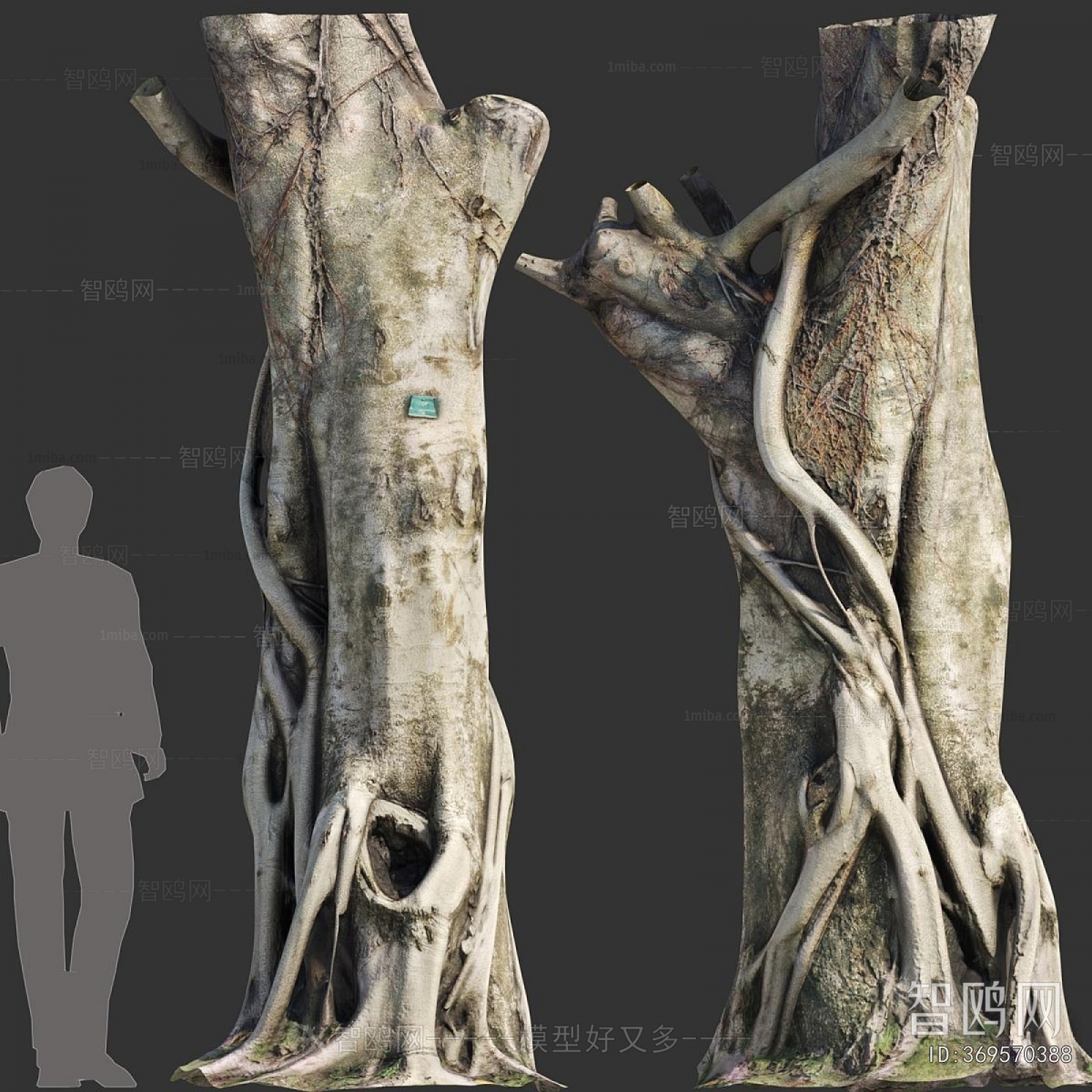 Modern Tree