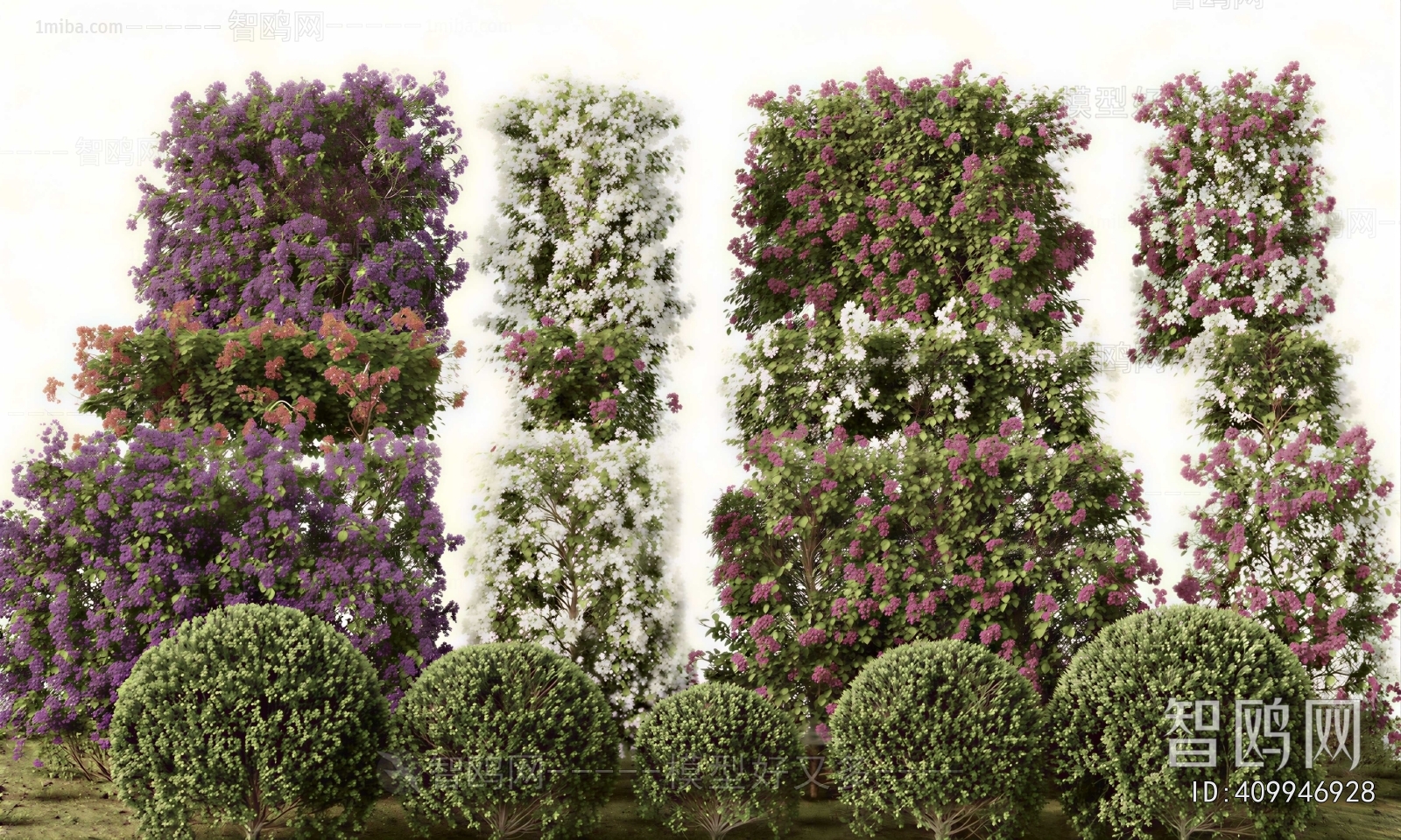 Modern Shrubbery