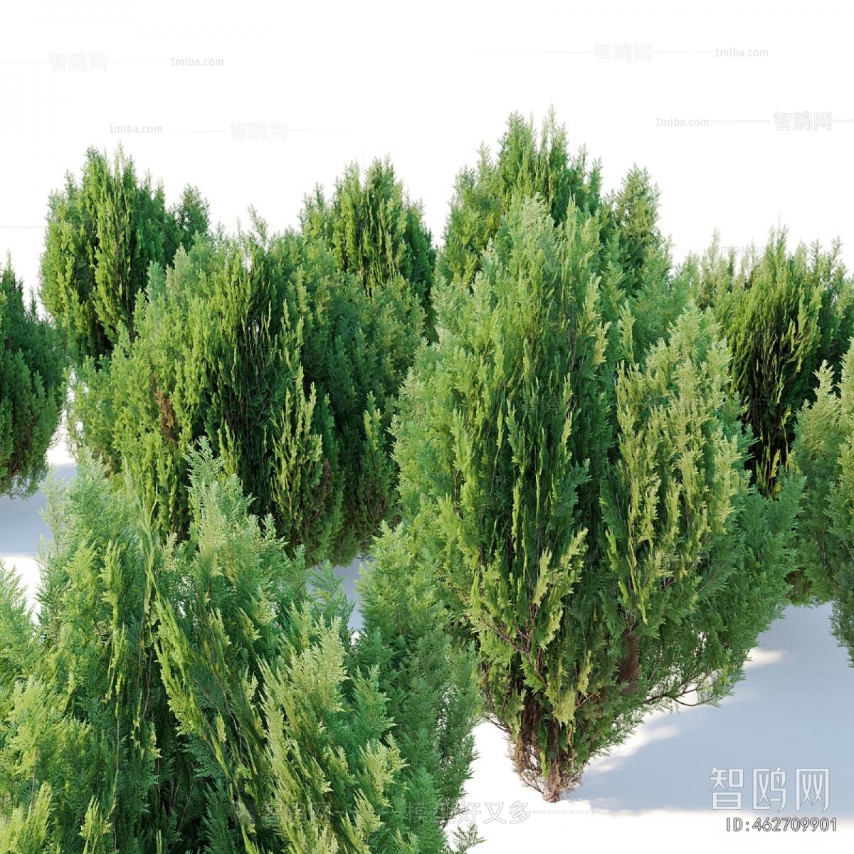 Modern Tree