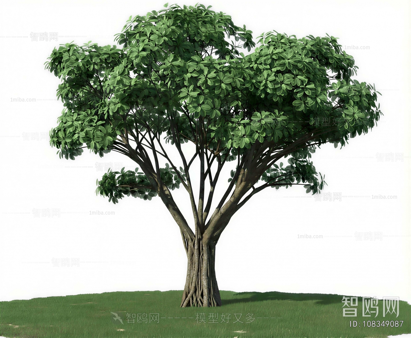 Modern Tree/shrub/grass