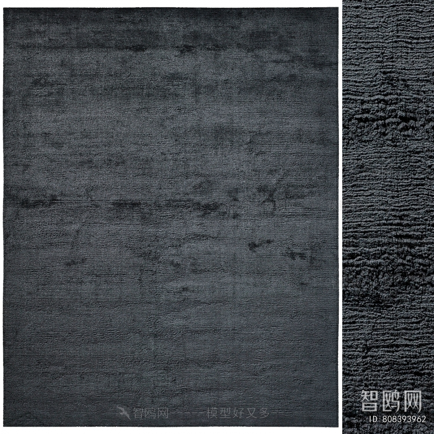 Modern The Carpet