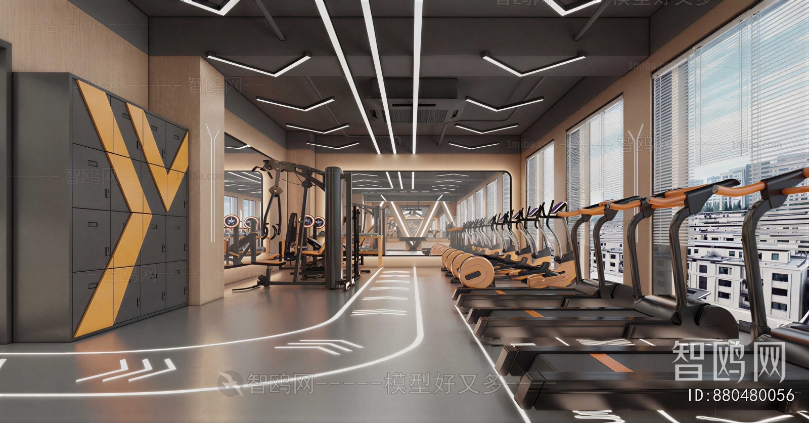 Modern Gym