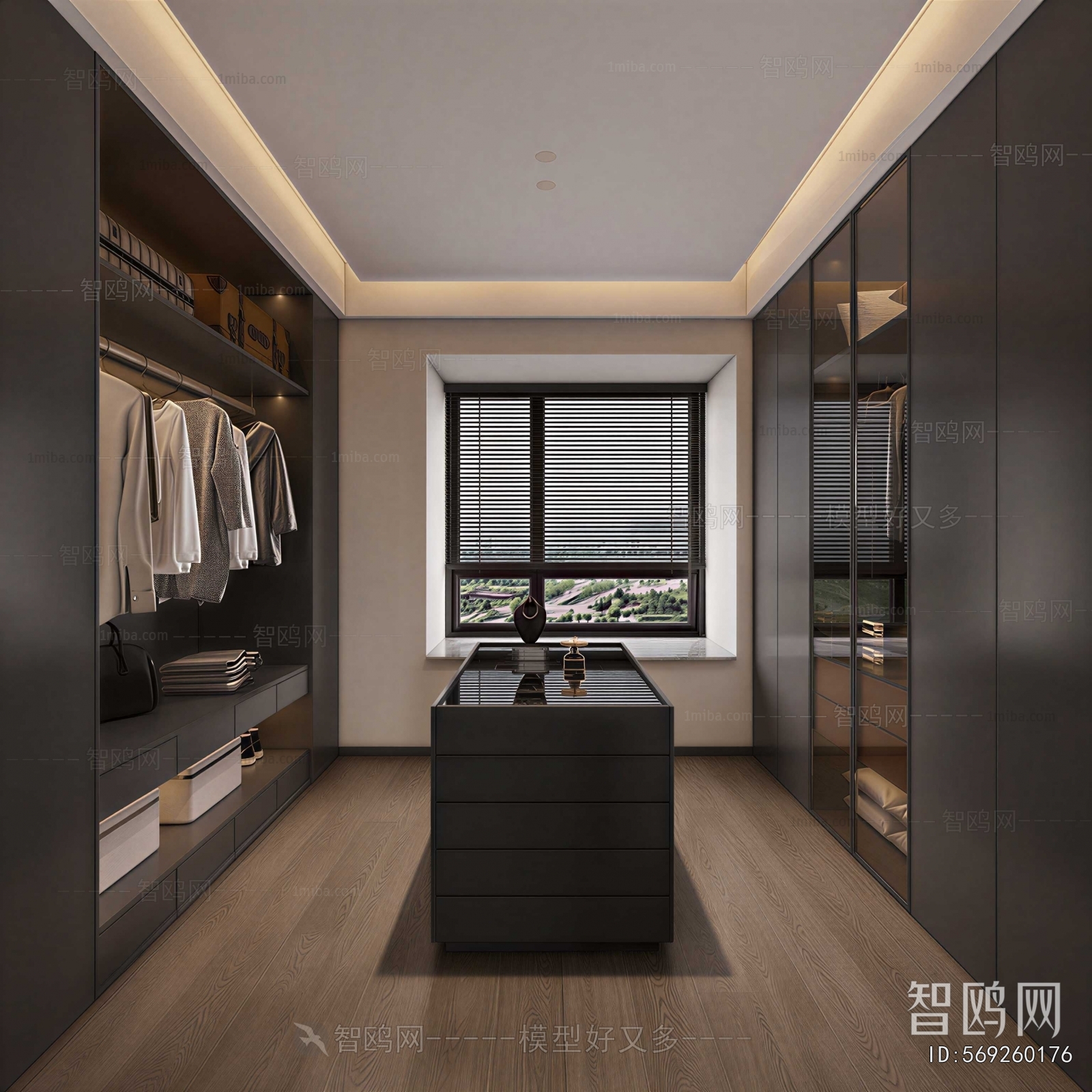 Modern Clothes Storage Area