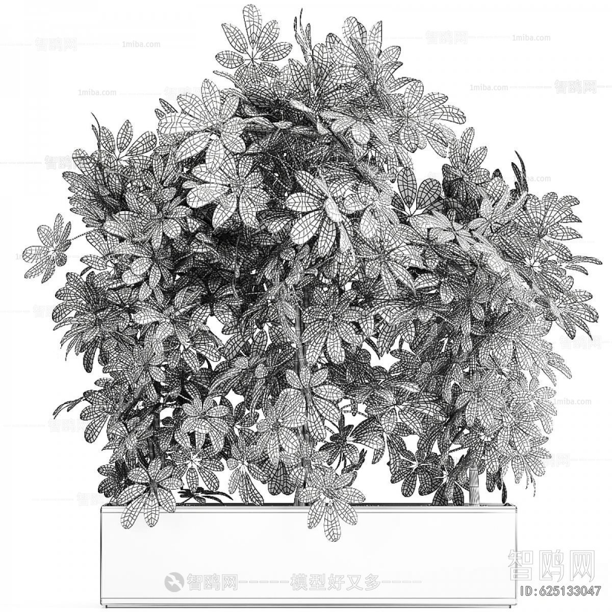 Modern Flower Bed, Flower Bowl, Flower Box