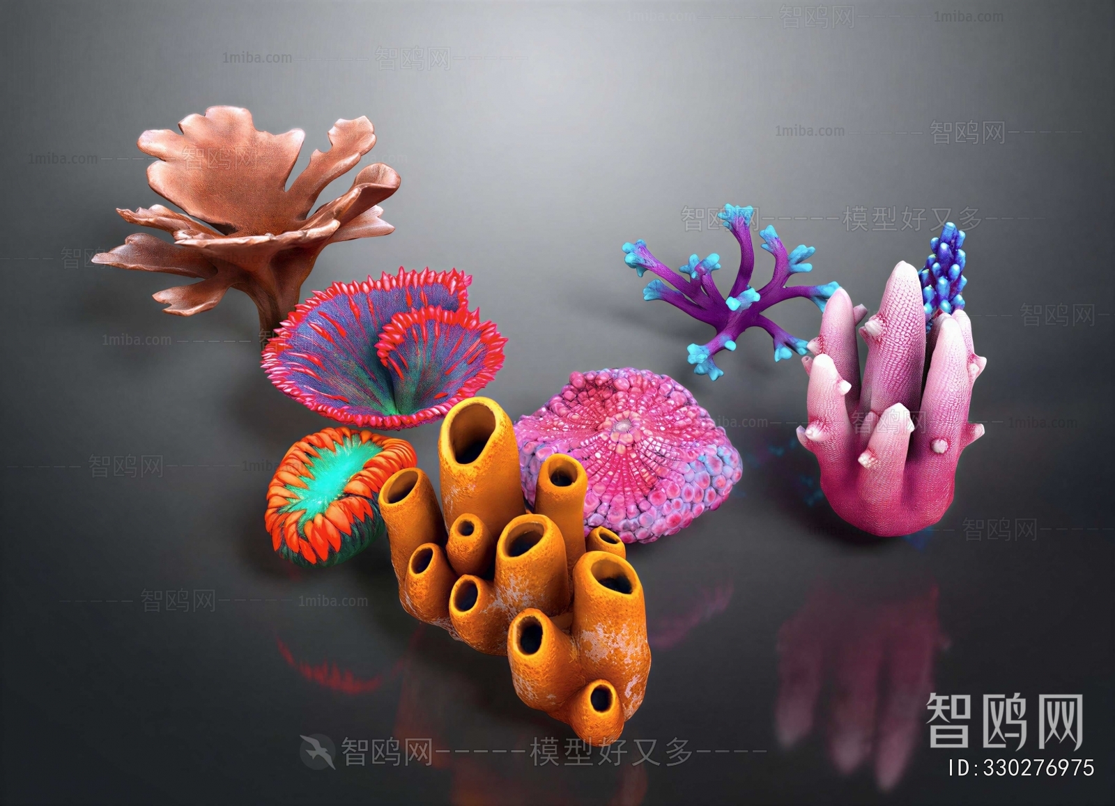 Modern Aquatic Animals