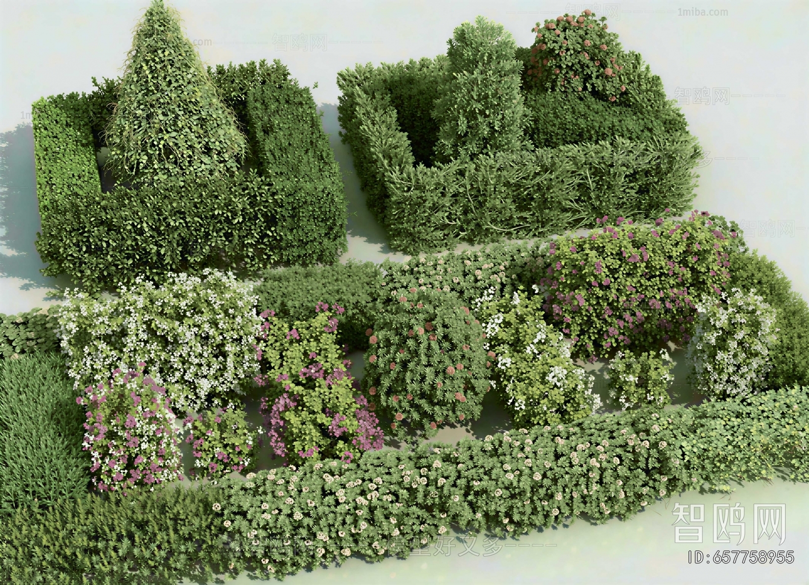 Modern Shrubbery