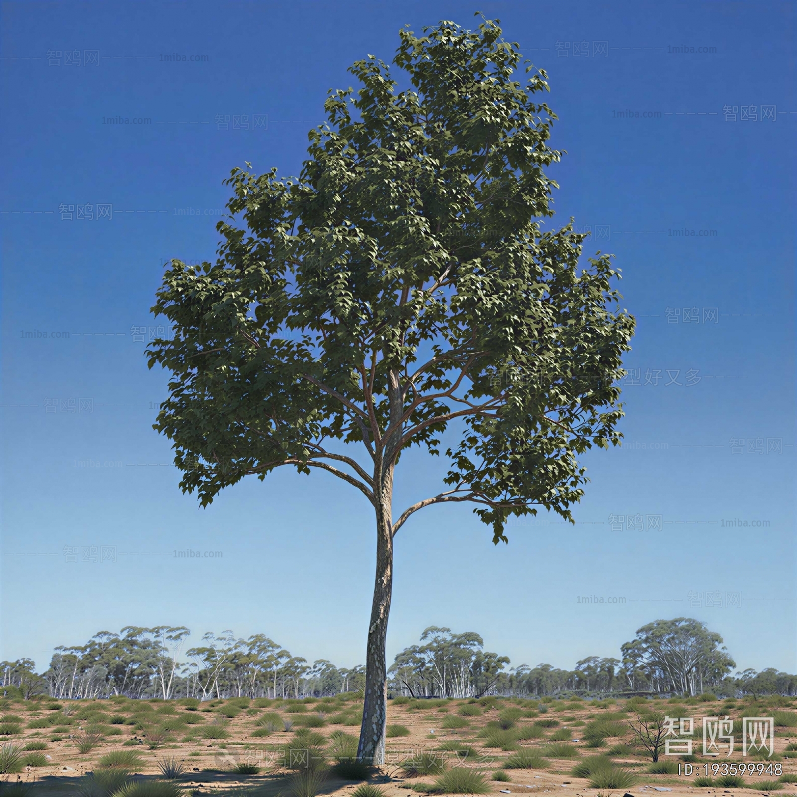 Modern Tree