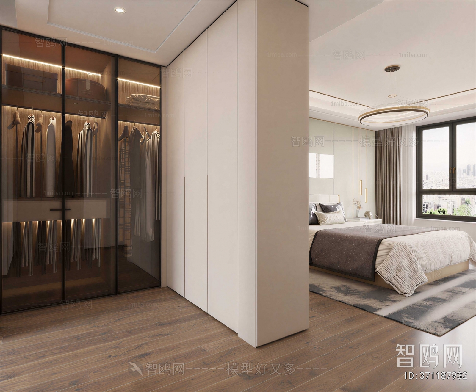 Modern Clothes Storage Area