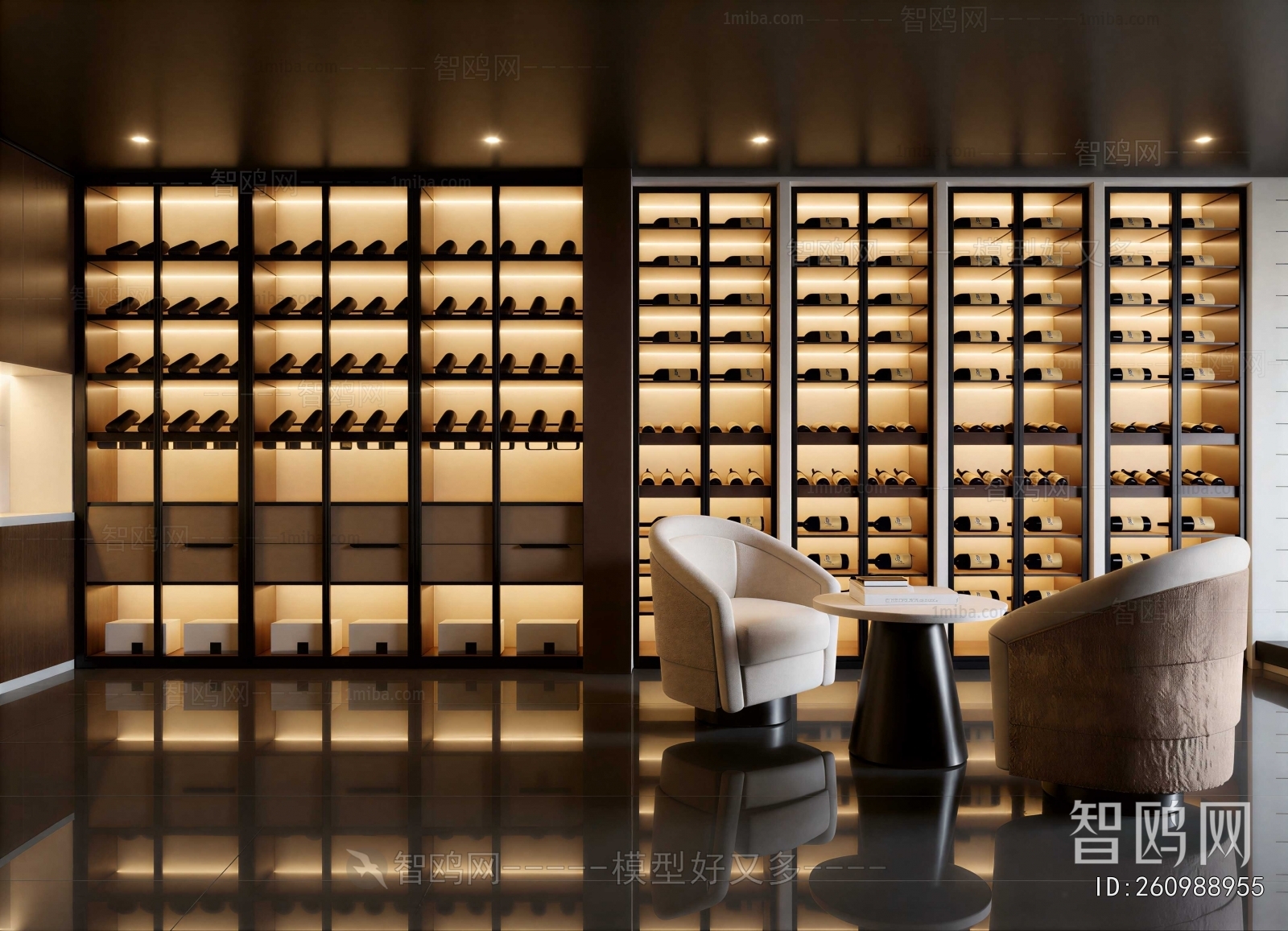 Modern Wine Cellar/Wine Tasting Room