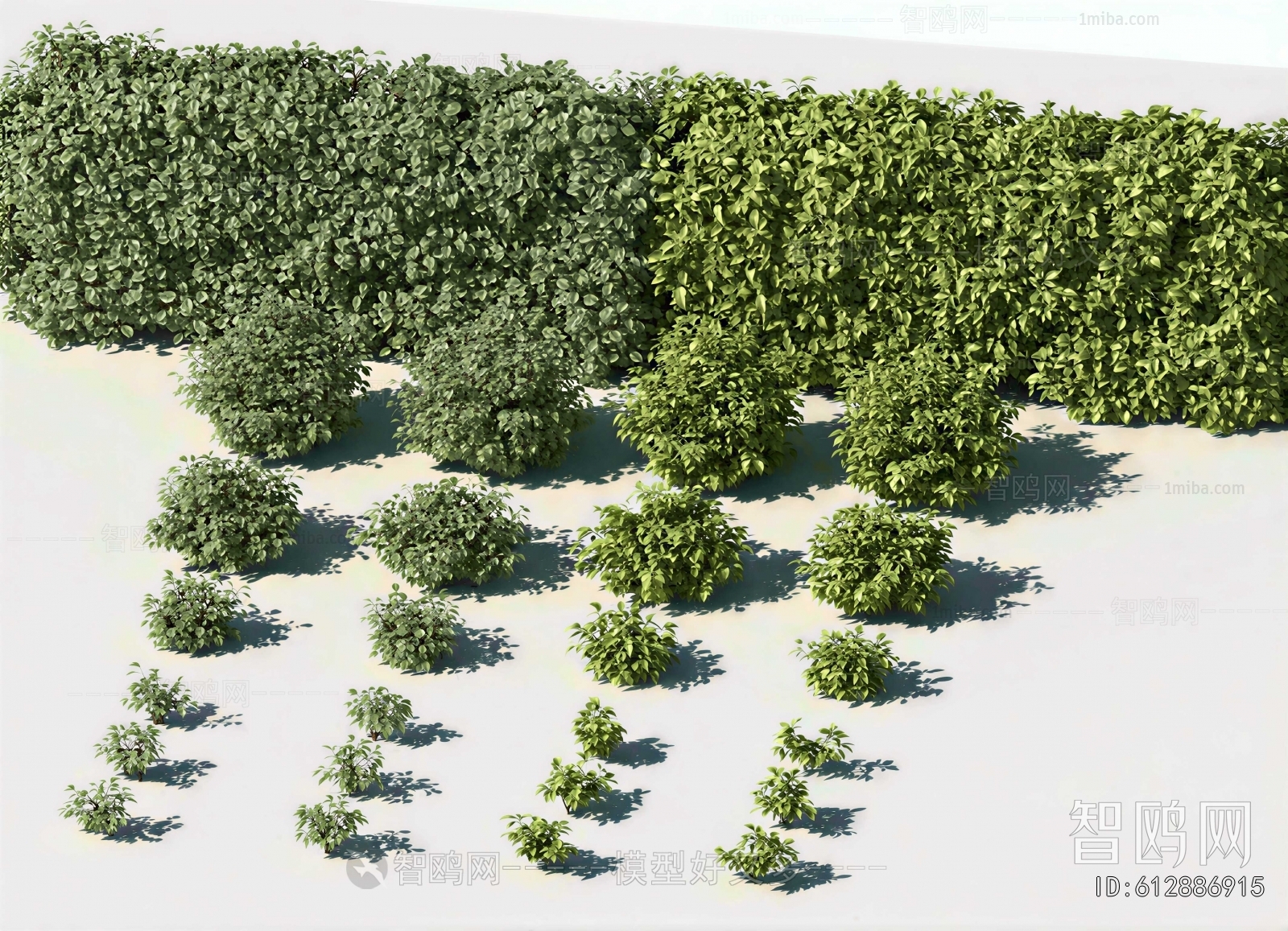 Modern Shrubbery