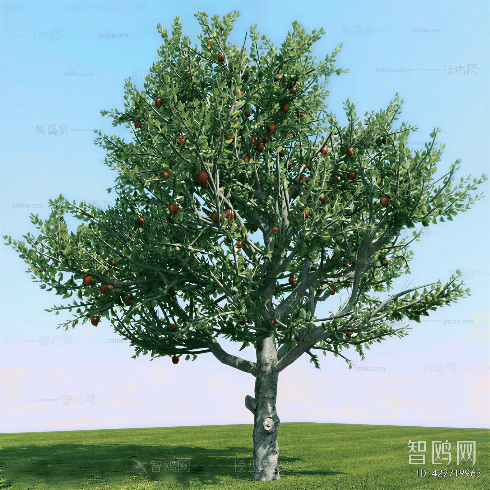 Modern Tree/shrub/grass