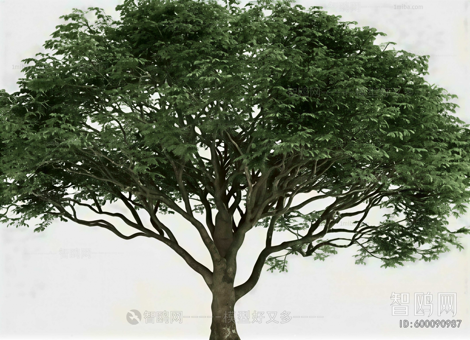 Modern Tree