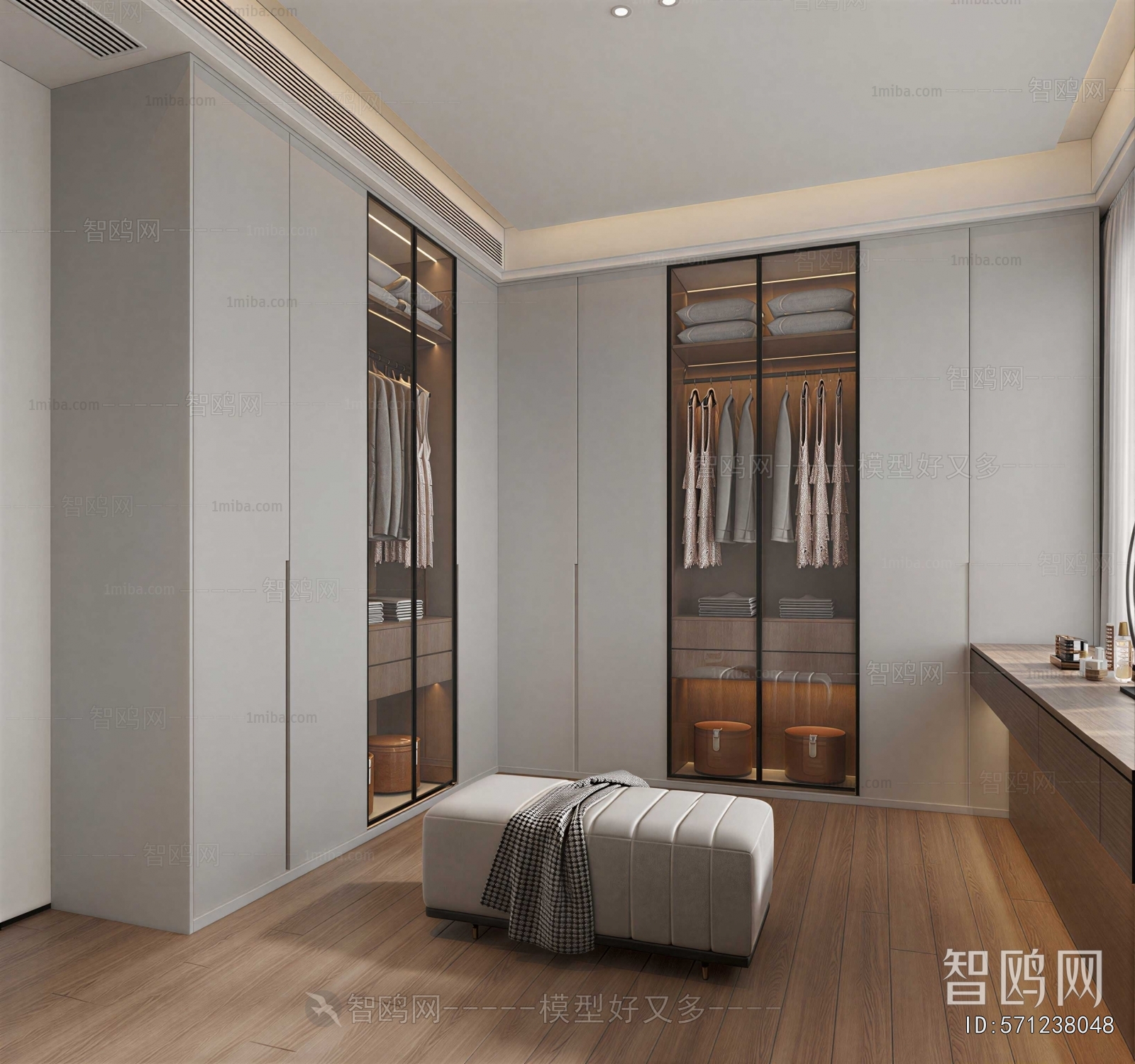 Modern Clothes Storage Area