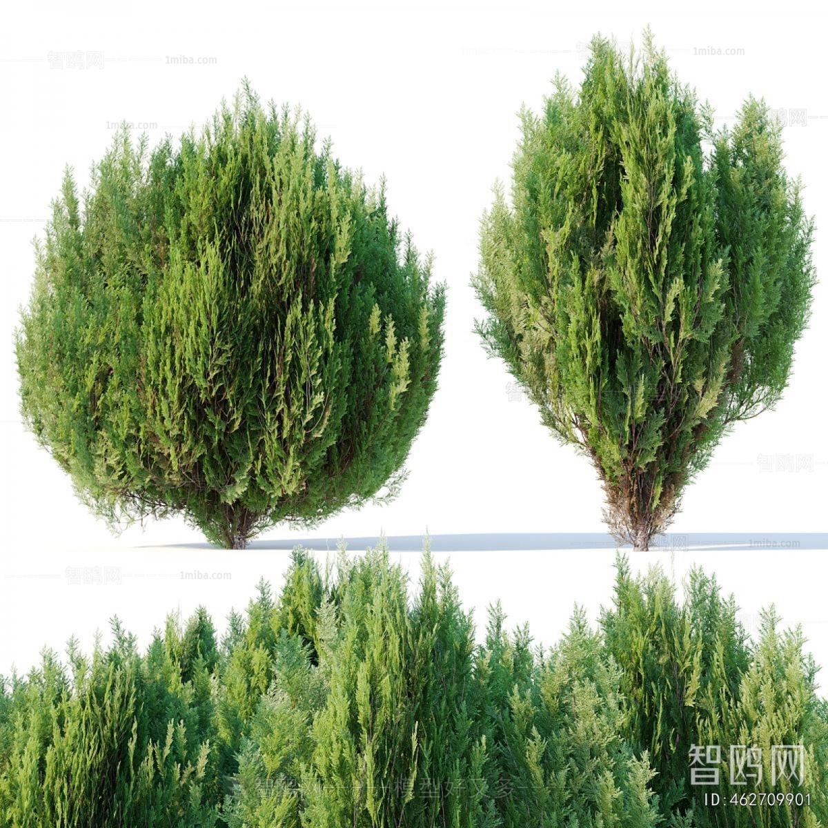 Modern Tree