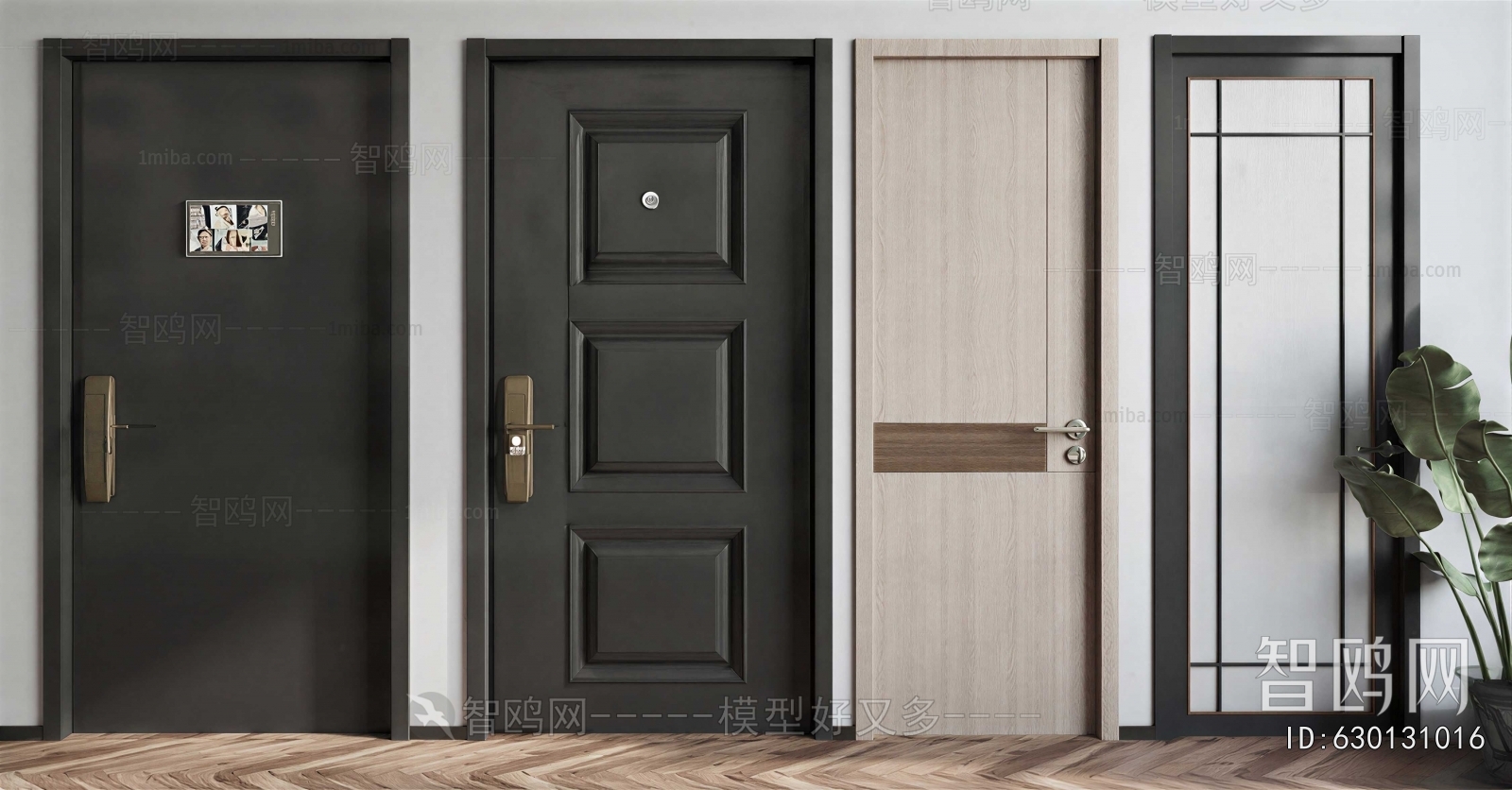 Modern Entrance Door