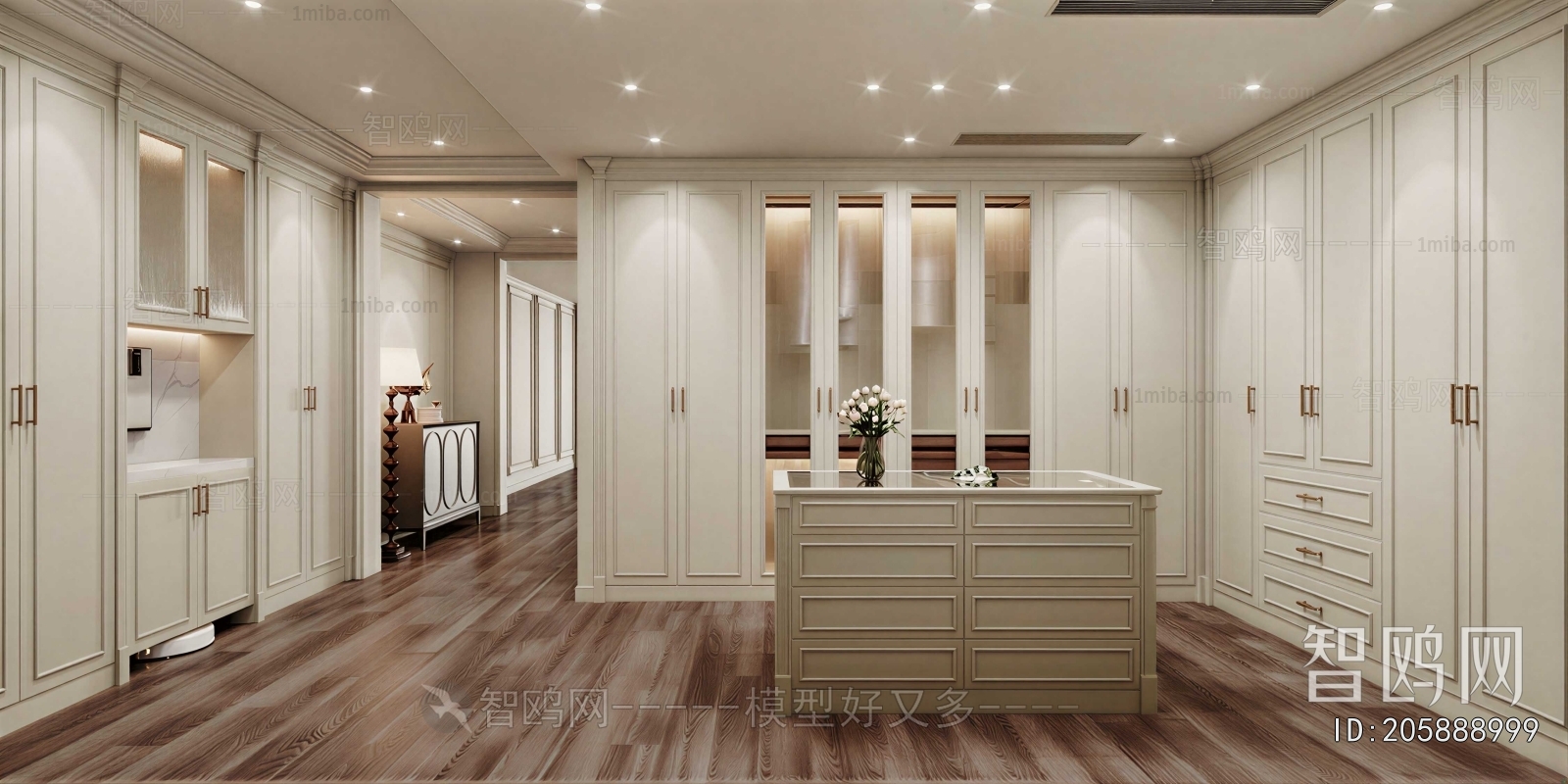 Modern Clothes Storage Area