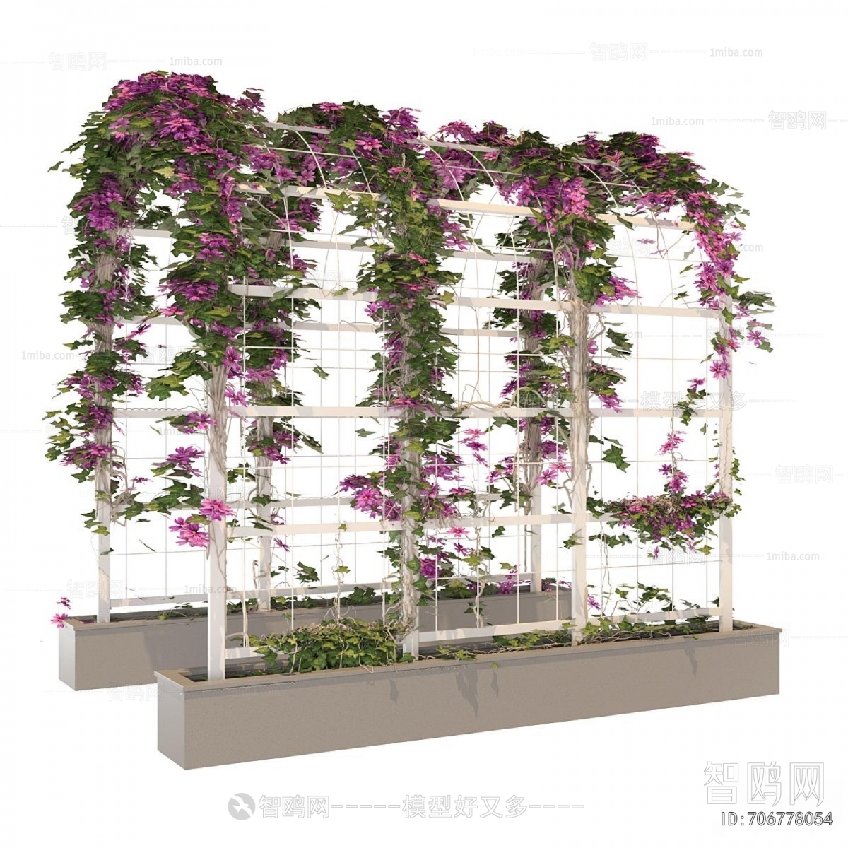 Modern Vine