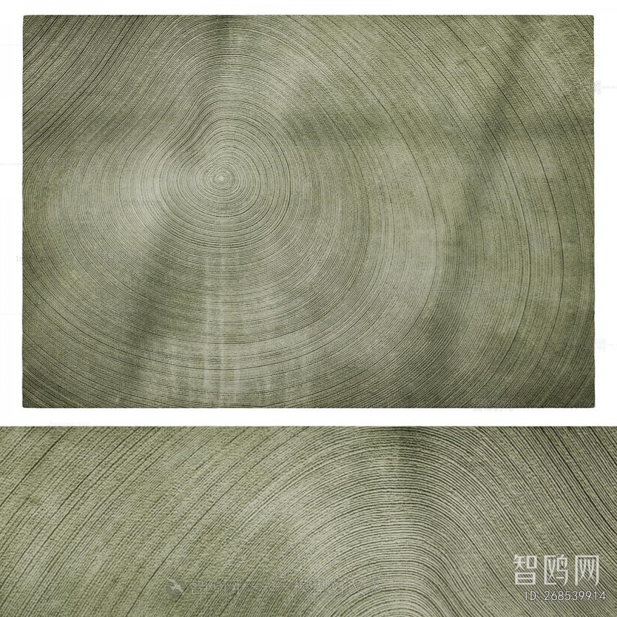 Modern The Carpet